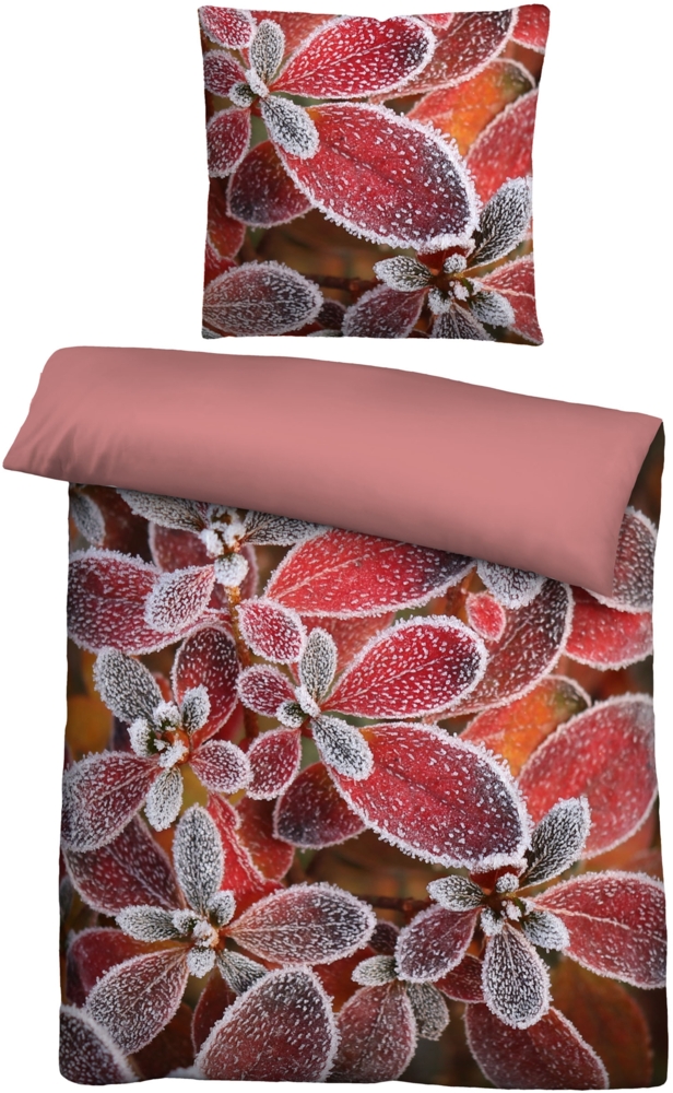 biberna Feinbiber Bettwäsche 0346738 EISBLUME, rubin, 1x 155x220 cm + 1x 80x80 cm Bild 1