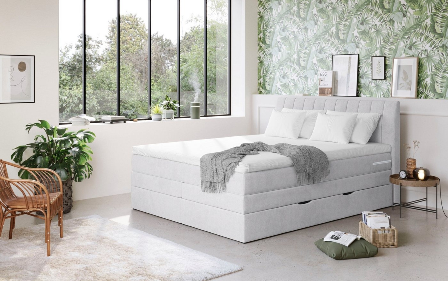 COTTA Boxspringbett Shark inkl. Bettkasten und Topper, erhältlich in den Breiten 140x200cm, 160x200cm und 180x200cm Bild 1