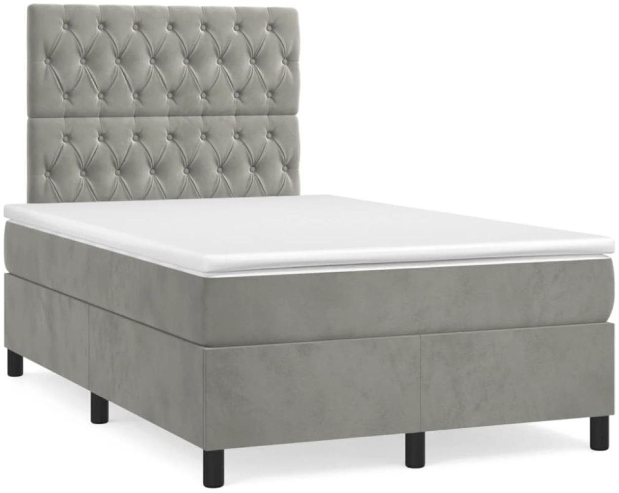 vidaXL Boxspringbett mit Matratze Hellgrau 120x190 cm Samt 3270013 Bild 1