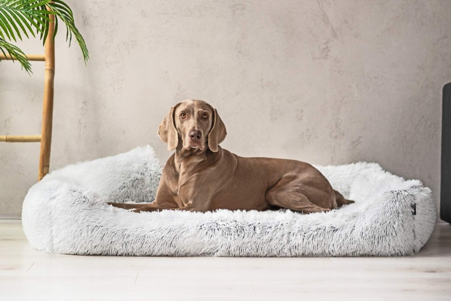 PEDRO SHAGGY Orthopädisches Hundebett - 160x110cm, 20 Weißgrau Bild 1