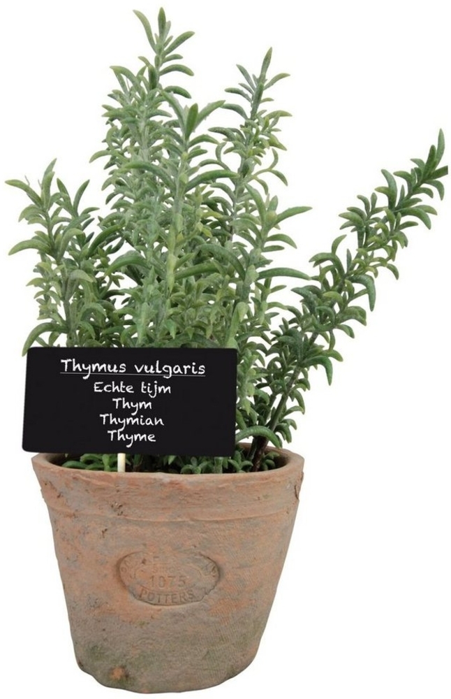 Kunstpflanze, esschert design, Thymian im Topf, Größe L Bild 1