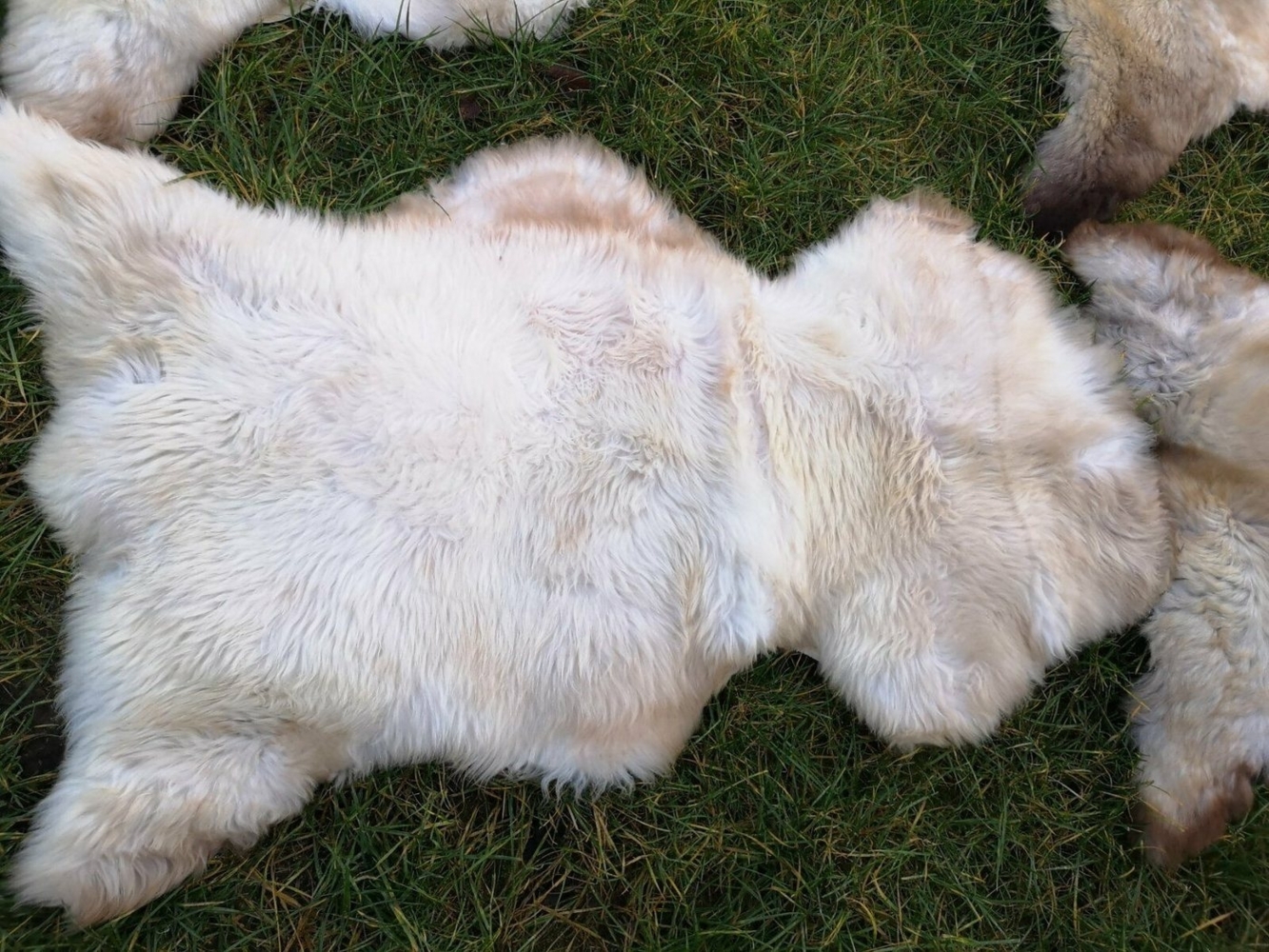 Provellus Fellteppich Natur Meliertes Öko Lammfell Schaffell Extra Weich Unikat, Länge 100-110 cm 1 Fell Bild 1