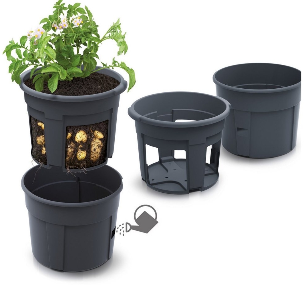 KAGM Pflanzkübel Blumentopf für Kartoffeln Kartoffelanbau 2er SET Ø 39 cm Bild 1