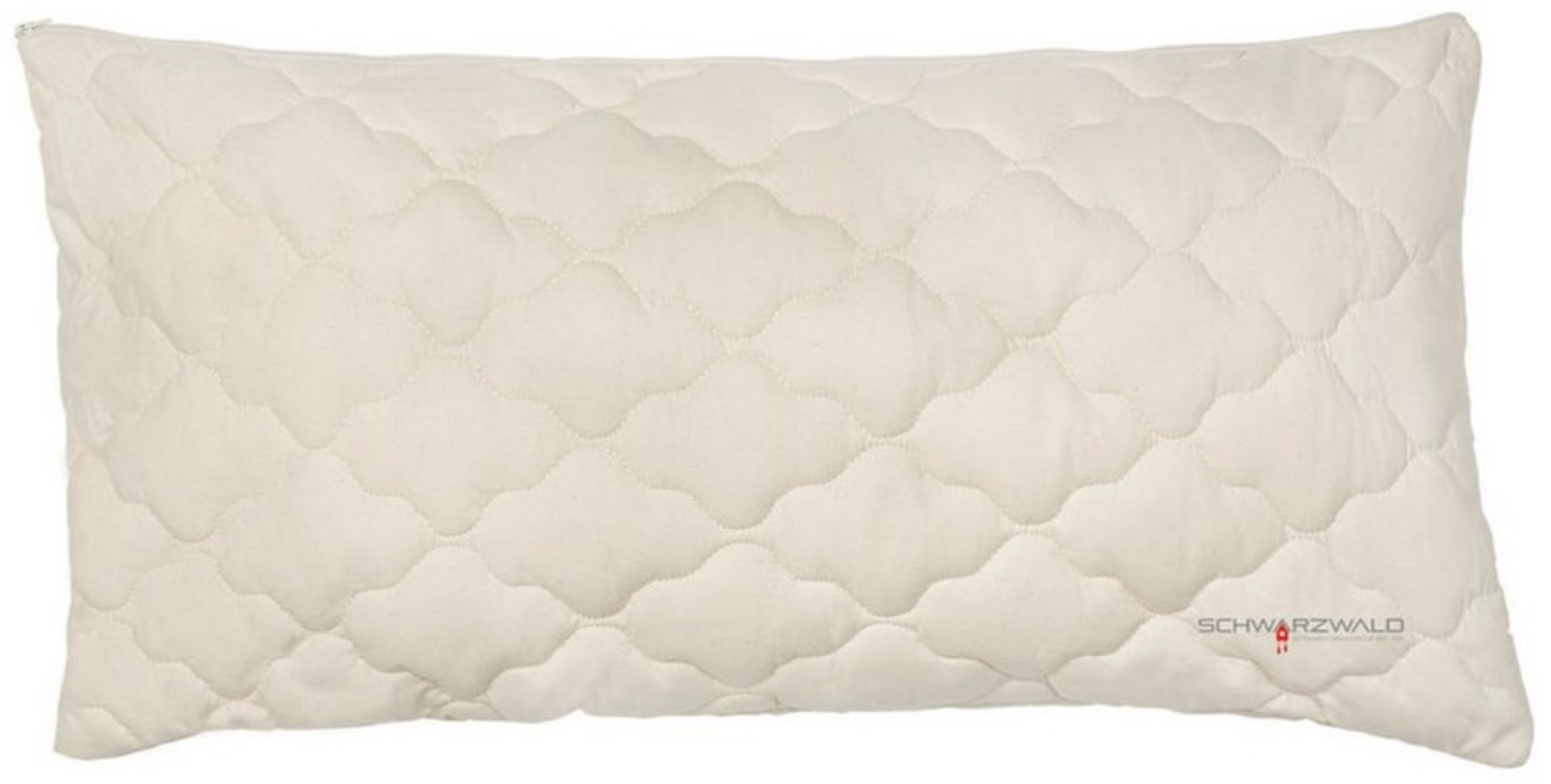 OBB Kopfkissen OBB Hirsekissen Nana Hirseschalen 40x60 cm Bild 1