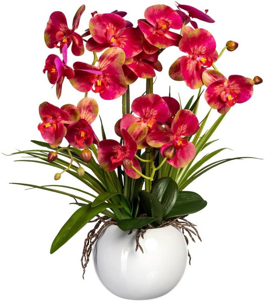 Kunstorchidee Phalaenopsis Orchidee Phalaenopsis, Creativ green, Höhe 58 cm, im Keramiktopf Bild 1