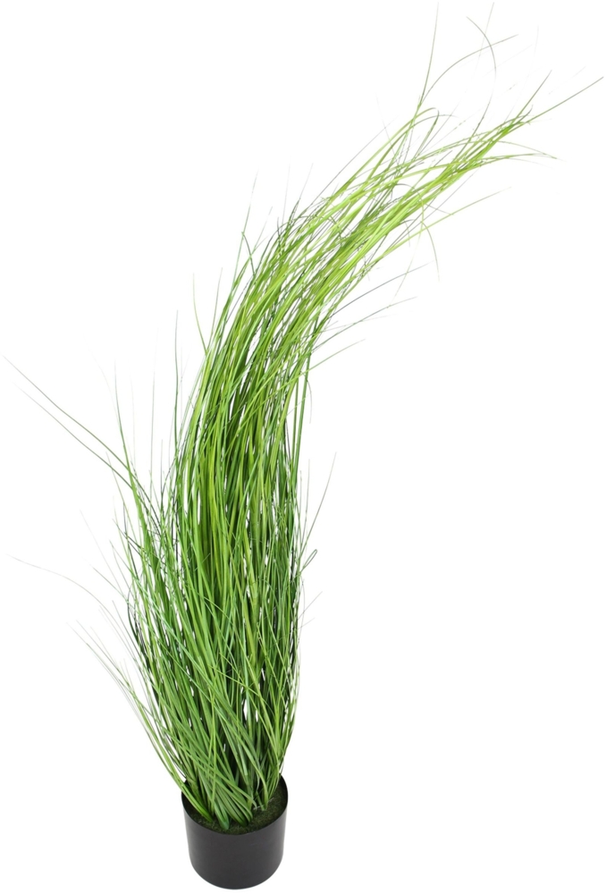 Pflanze Gras Pflanzschale Pflanzkorb Blumentopf Pflanztopf Übertopf Bild 1