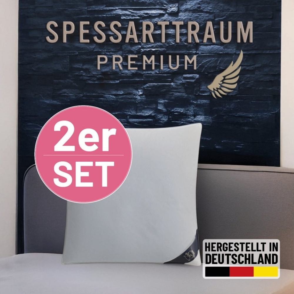 SPESSARTTRAUM Gänsedaunenkopfkissen Premium, Kopfkissen 1-tlg. oder 2-tlg. 40x80 oder 80x80 cm, Füllung: 90% Gänsedaunen, 10% Gänsefedern, Bezug: 100% Baumwolle, Spar-Set, hergestellt in Deutschland, allergikerfreundlich, im Set günstiger Bild 1