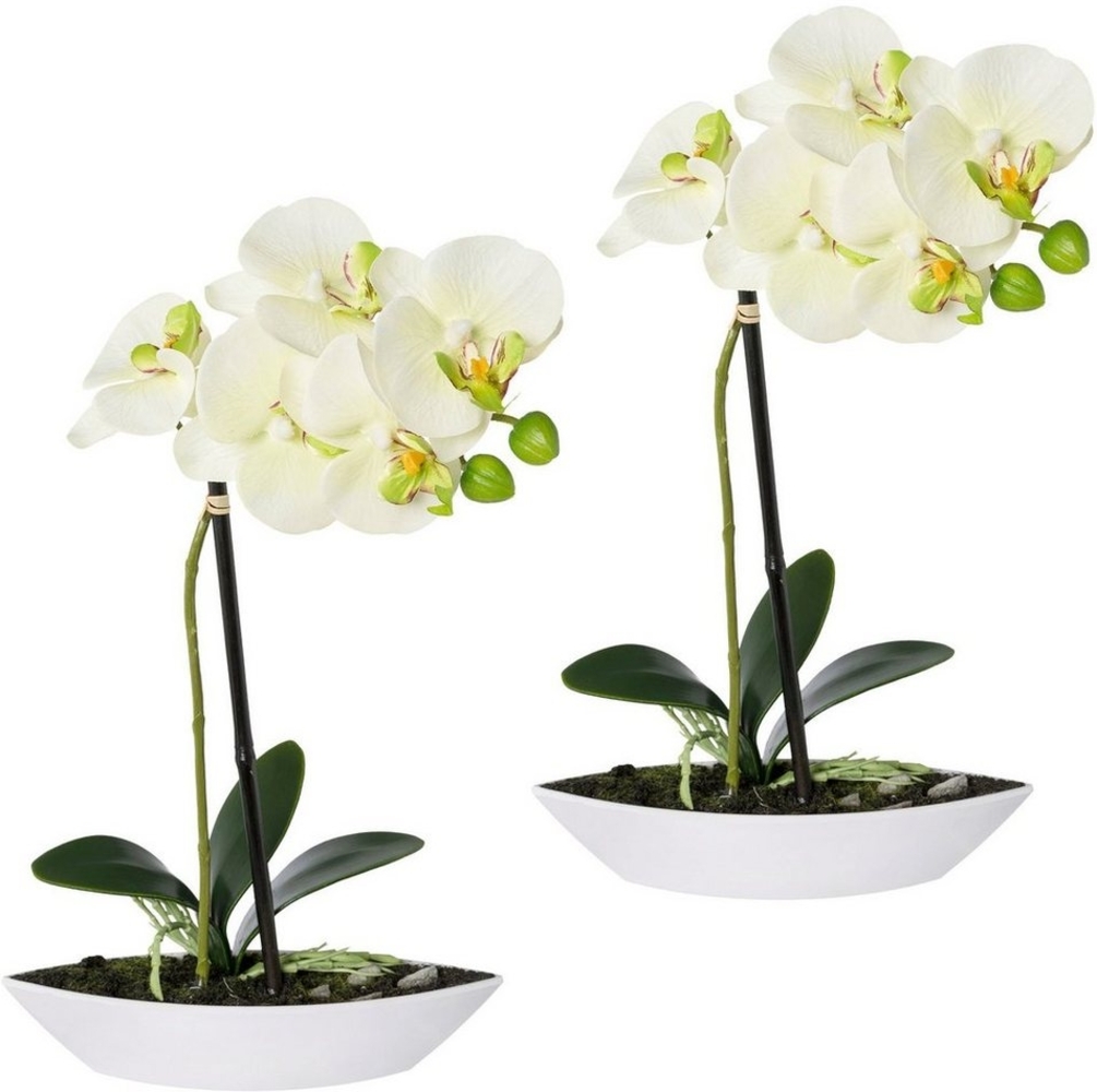 Kunstorchidee Phalaenopsis, Creativ green, Höhe 30 cm, 2er Set, in Kunststoffschale Bild 1