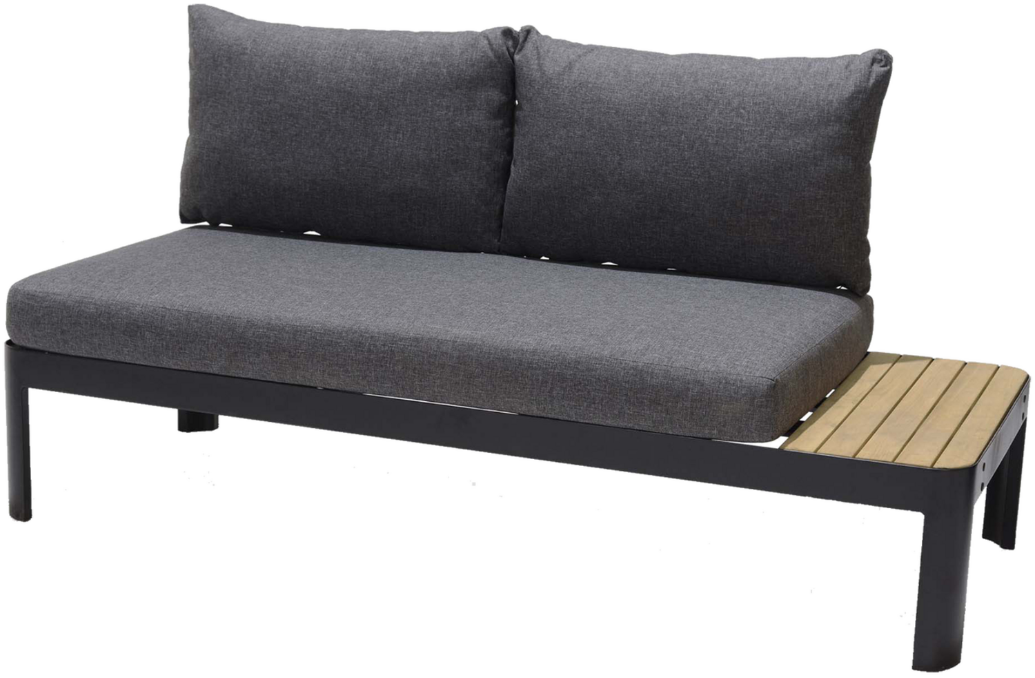 PORTALS 2-Sitzer Sofa, inkl. Olefin Sitz/Rücken Dunkelgrau Des. 8824 Alu Rahmen Batman Black Bild 1