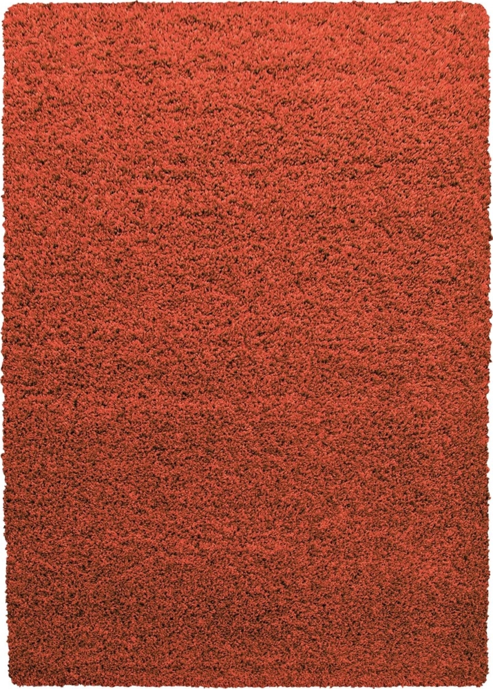 Hochflor Teppich Lux Läufer - 80x150 cm - Terrakotta Bild 1