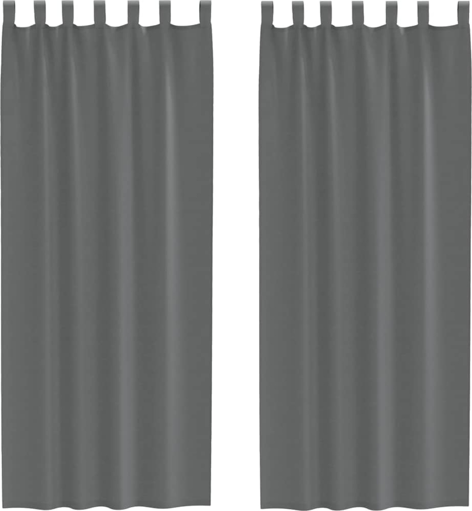 vidaXL Voile Vorhänge mit Schlaufen 2 Stk. Dunkelgrau 140x260 cm 4102275 Bild 1