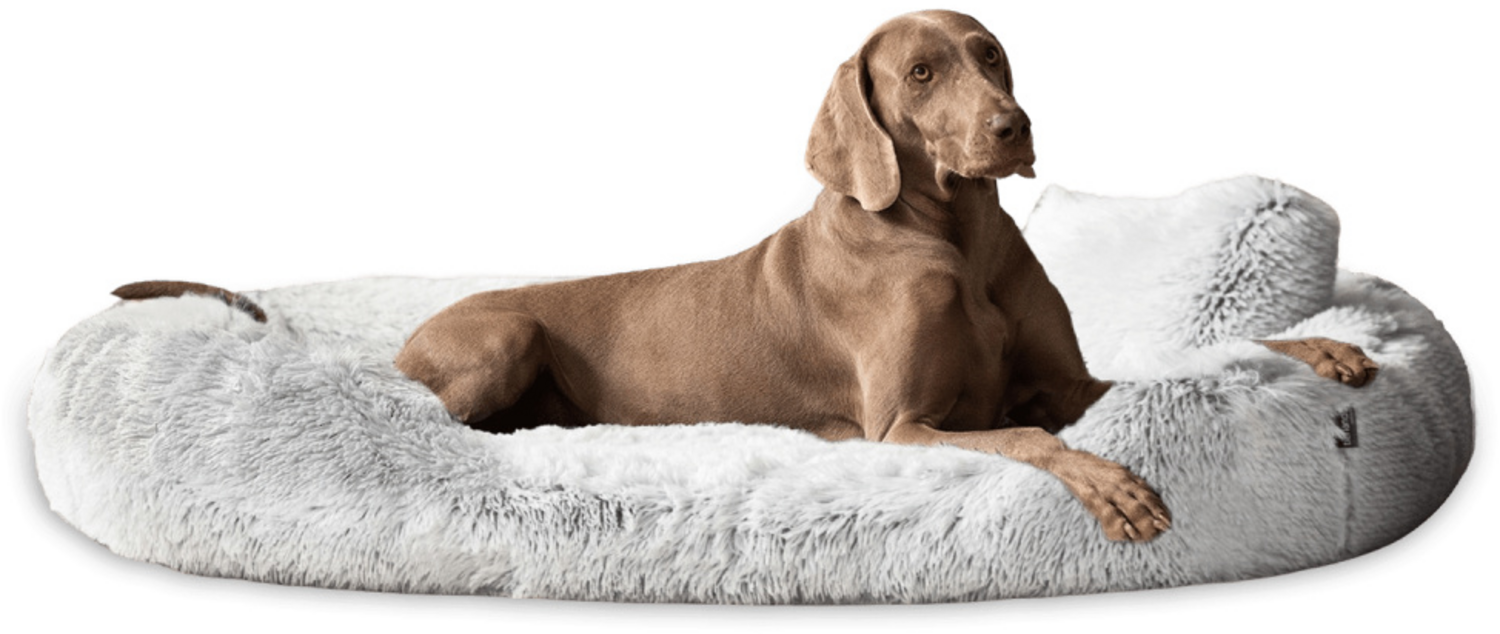 PAMELA SHAGGY Orthopädisches Hundebett - 175x115cm, 20 Weißgrau Bild 1