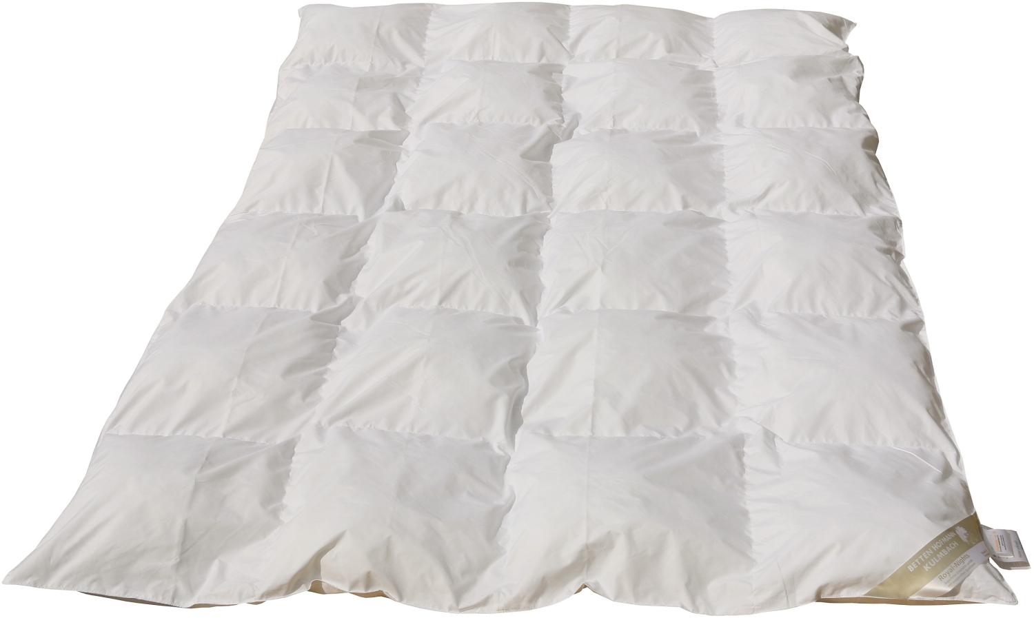 Hofmann Basic Kassettenbett Mikrofaser Steppbett Ganzjahresdecke 155x220 cm Bild 1