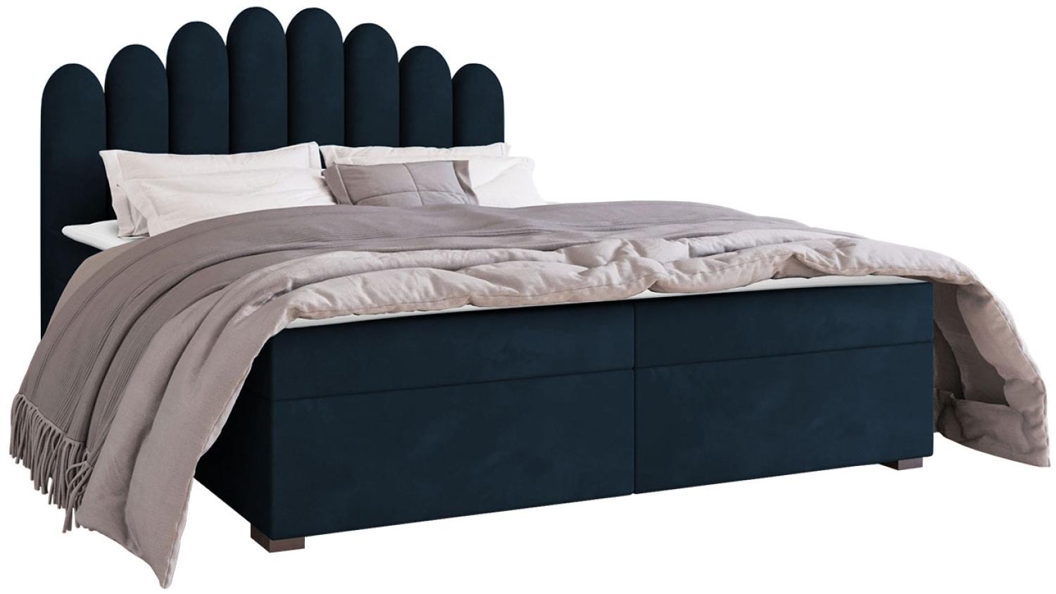 Mirjan24 	Boxspringbett Tosian, Blau, 180 x 200 cm Bild 1