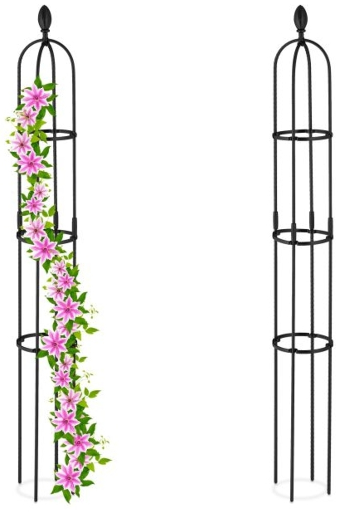 Rankhilfe 160 cm 2er Set Bild 1