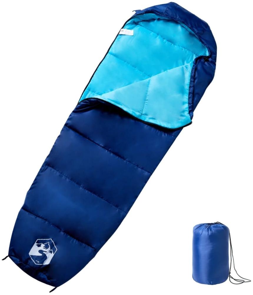 vidaXL Mumienschlafsack für Erwachsene Camping 3 Jahreszeiten 94495 Bild 1