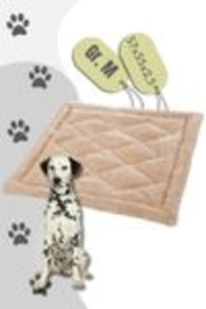 Maelson Soft Bed Deluxe Matte /Einlegematte Soft Bed - Beige M (55x55) Bild 1