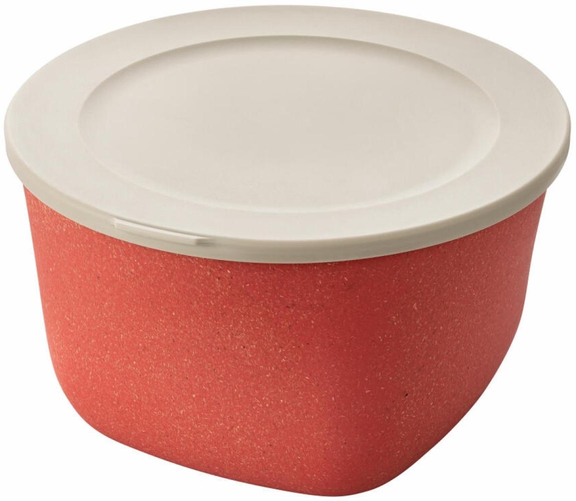 Koziol Dose Connect Box mit Deckel, Schüssel, Schale, Kunststoff-Holz-Mix, Nature Coral, 1 L, 7870704 Bild 1