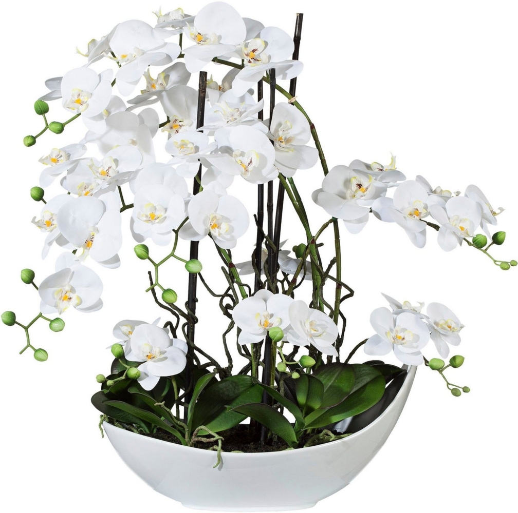 Kunstorchidee Phalaenopsisarrangement, 68cm weiss, Creativ green, Höhe 68 cm, in Keramikschale Bild 1