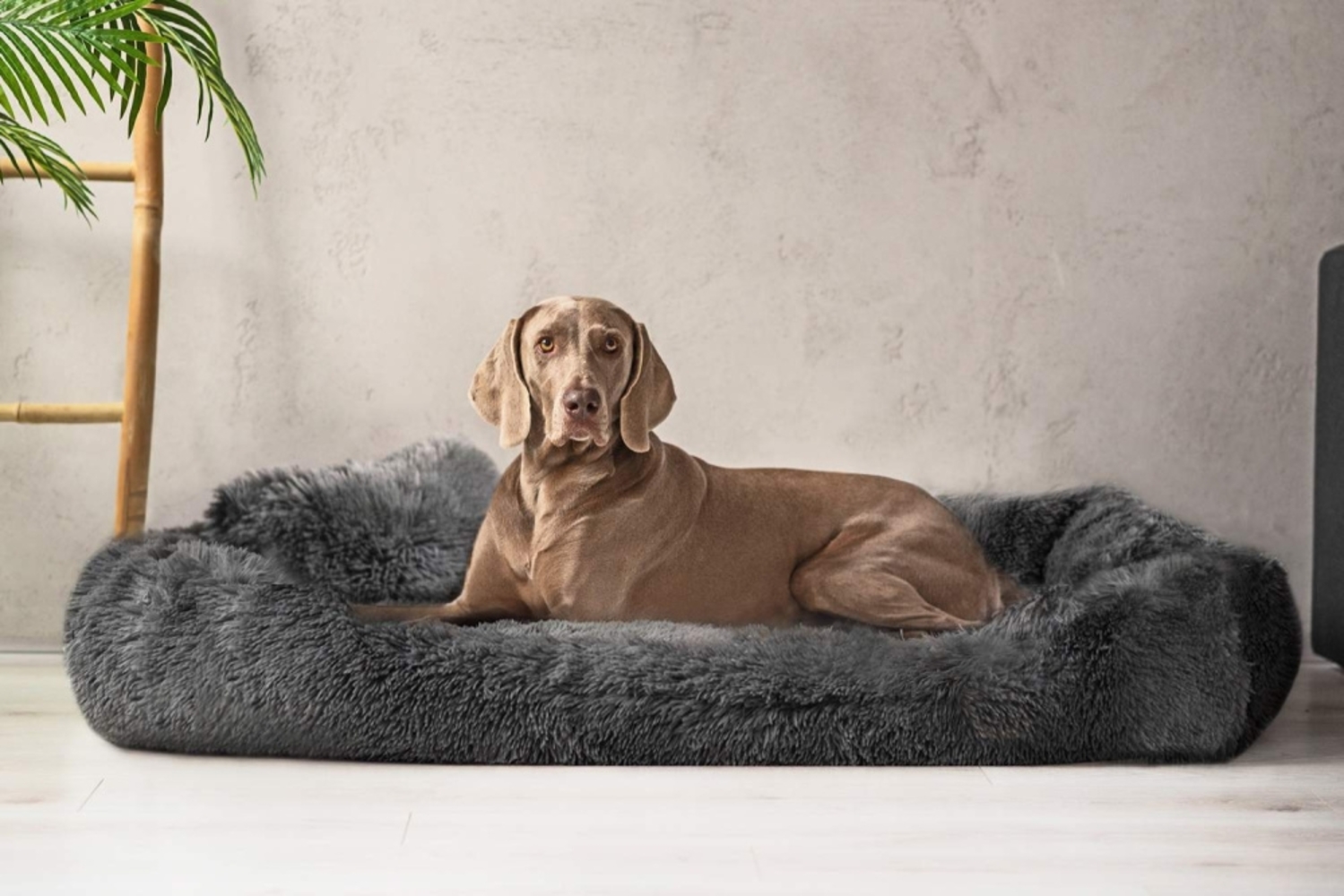 PEDRO SHAGGY Orthopädisches Hundebett - 160x110cm, 02 Graphit Bild 1