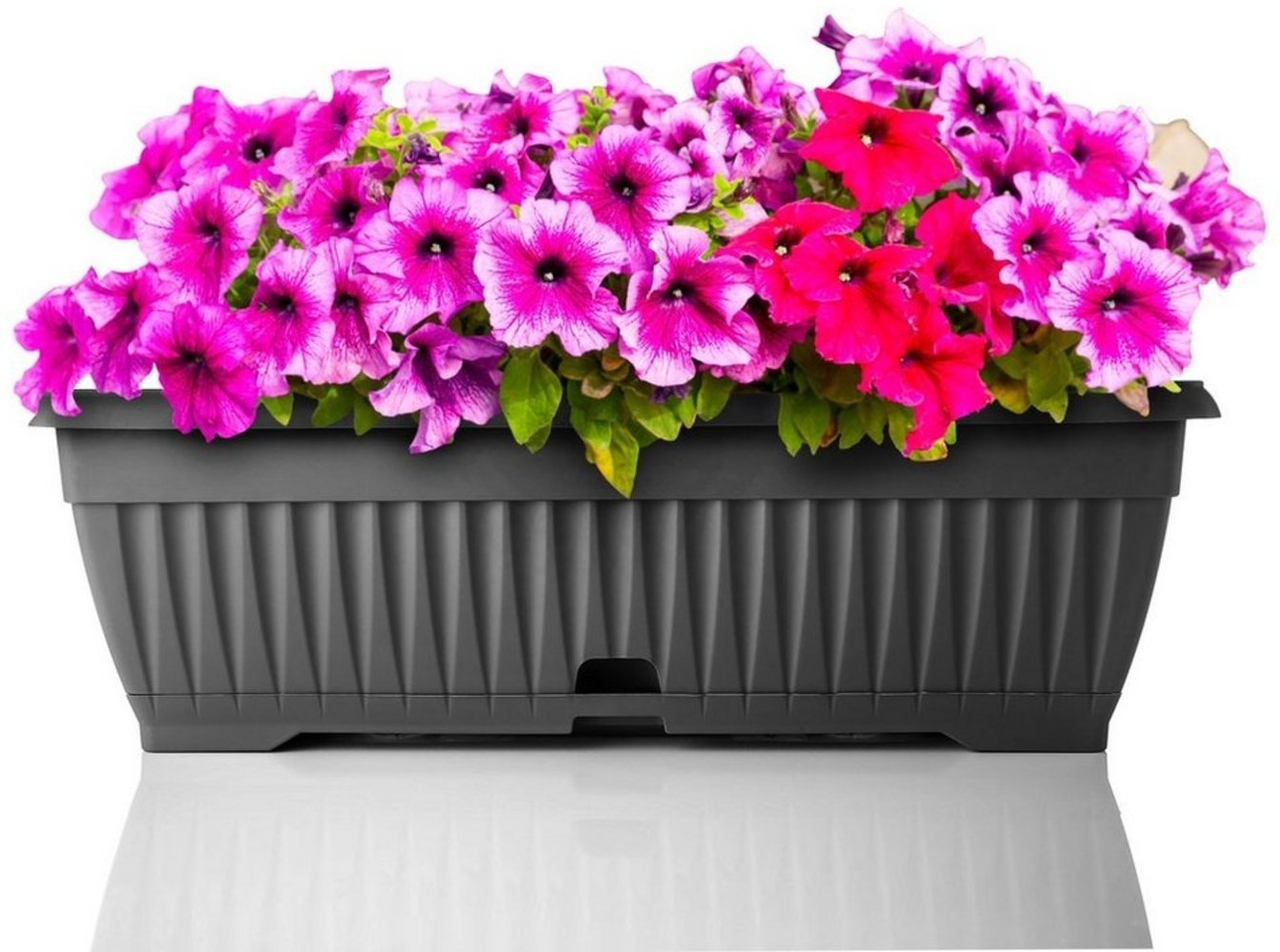 BigDean Blumenkasten mit abnehmbarem Untersetzer - Anthrazit 50 cm lang aus bruchsicherem Kunststoff - Balkonkasten Pflanzkasten mit Wasserspeicher für Innen- & Außenbereich geeignet - Made in Europe Bild 1