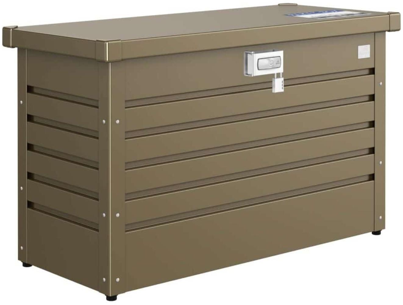 Biohort – Paketbox 100: 101 x 46 x 61 (b x t x h) cm bronze-metallic Bild 1