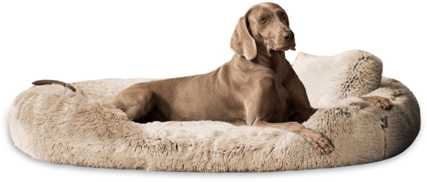 PAMELA SHAGGY Orthopädisches Hundebett - 175x115cm, 14 Beige Bild 1