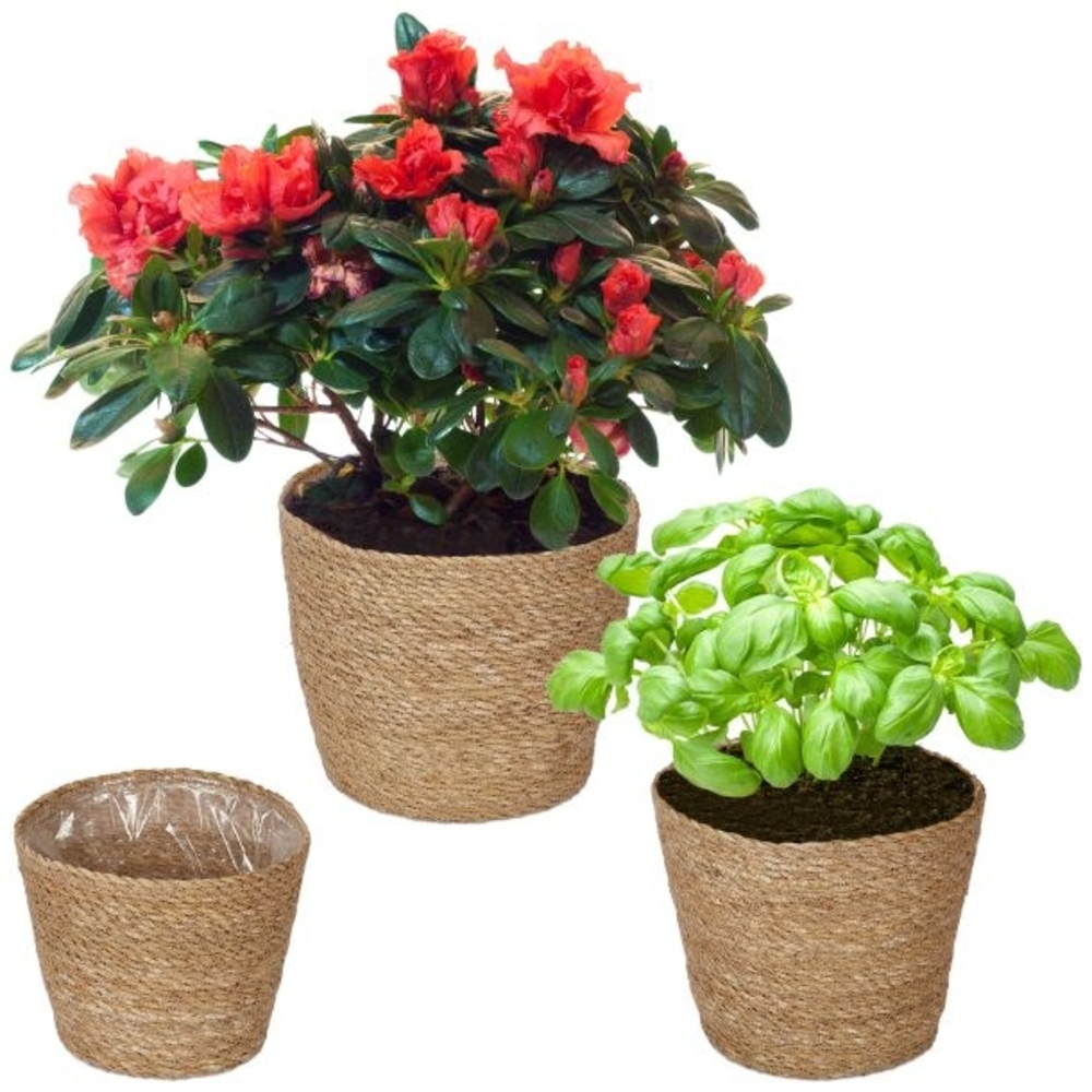 Seegras Blumentopf 3er Set 10048141 Bild 1