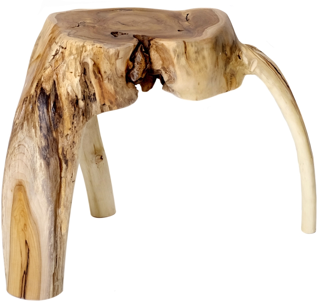 Beistelltisch Teakholz Baumstamm Tisch Wurzelholz Hocker Teakholz Bild 1