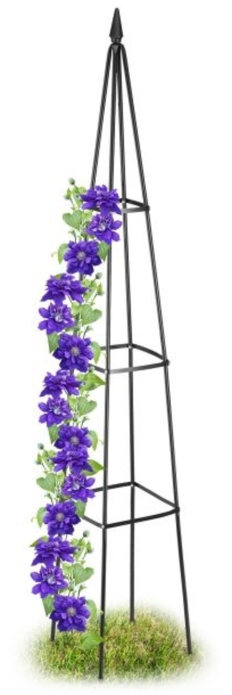 Rankhilfe 190 cm schwarz Bild 1