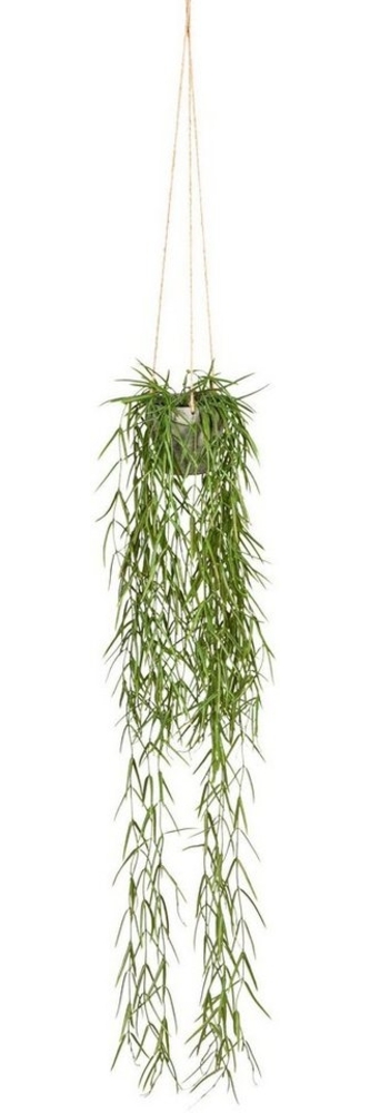 Kunstranke Tillandsia aeranthos im Hängetopf Sukkulente, Creativ green, Höhe 90 cm, im Hängetopf aus Kunststoff Bild 1