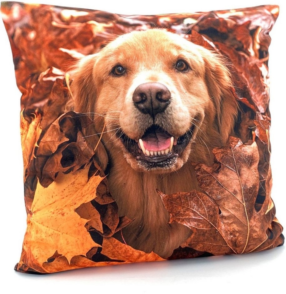 Weckbrodt Kissenhülle Golden Retriever, (1 Stück) Bild 1
