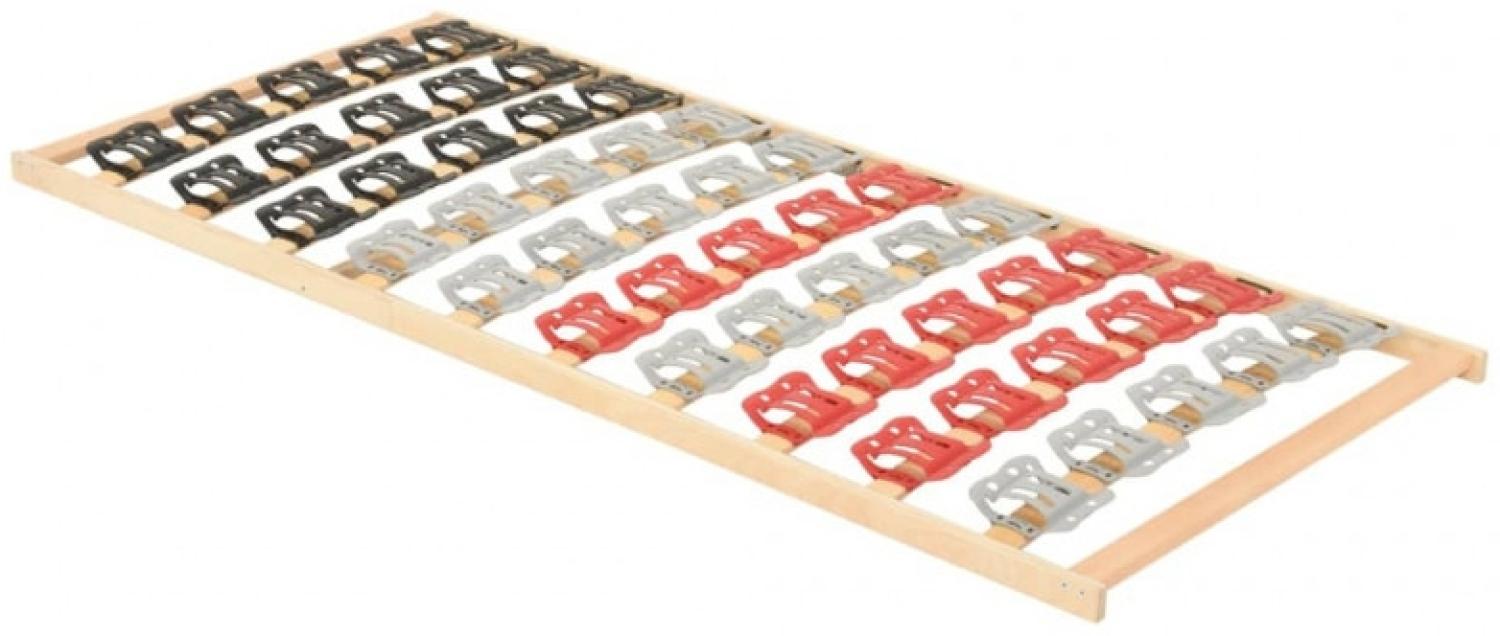 vidaXL Lattenrost mit 12 Latten & Tellerfedern 100x200 cm Bild 1