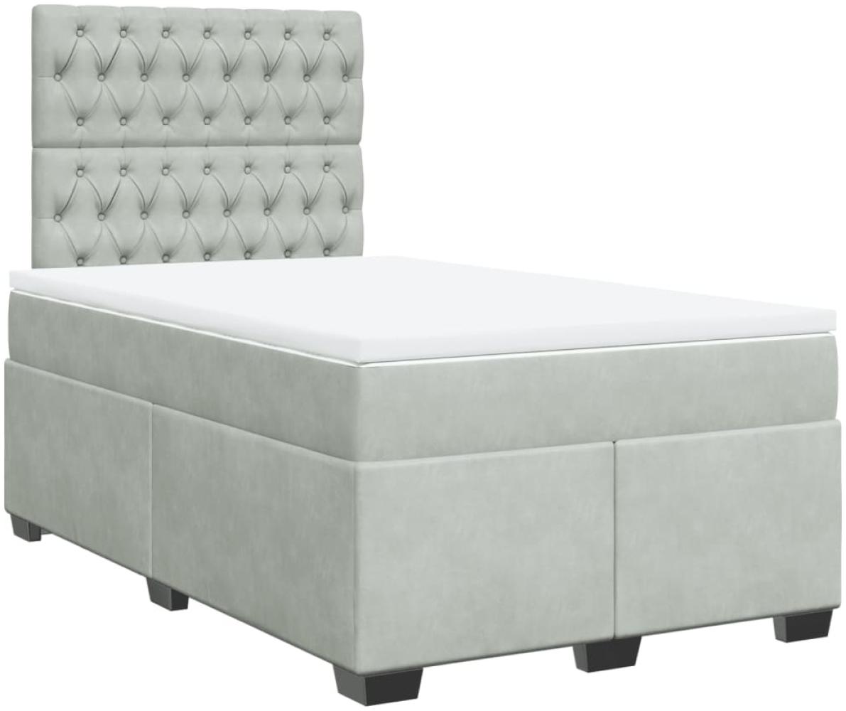 vidaXL Boxspringbett mit Matratze Hellgrau 120x200 cm Samt 3290888 Bild 1