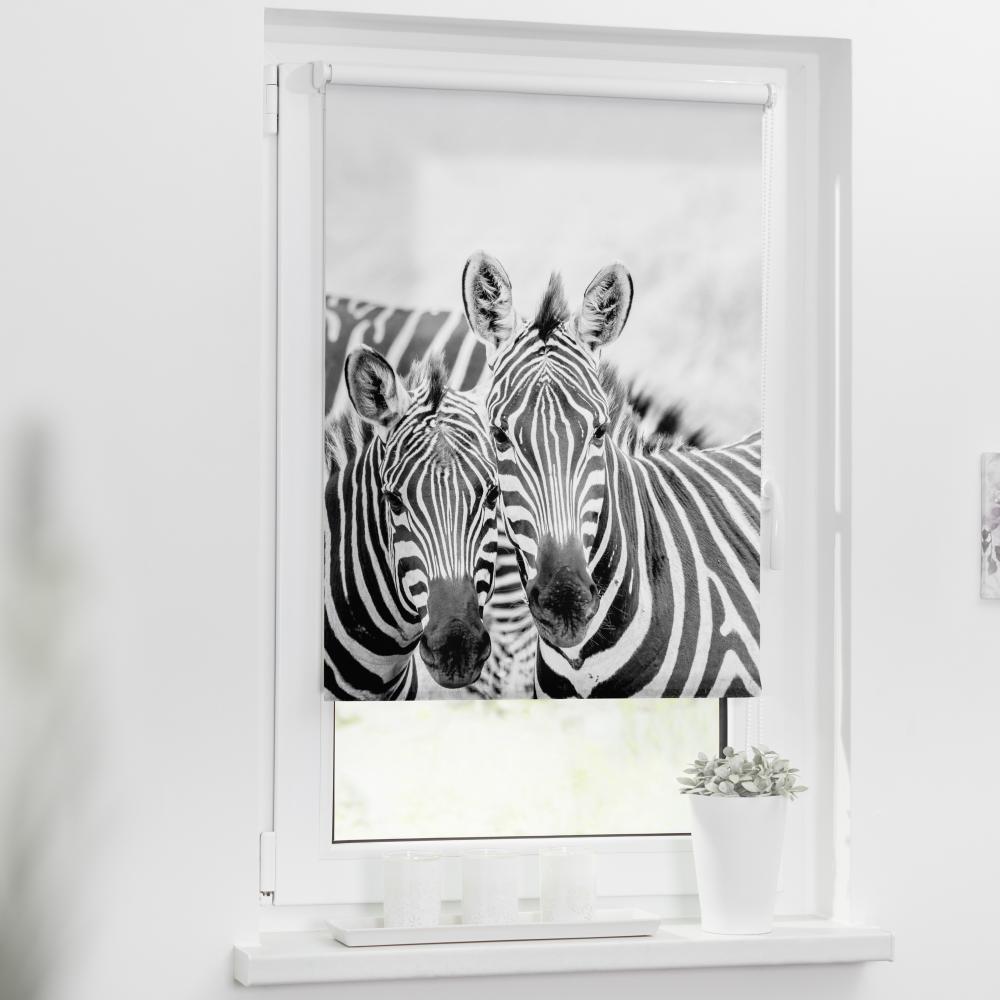 Lichtblick Motiv Rollo 150 cm x 70 cm (LxB) Zebra Bild 1