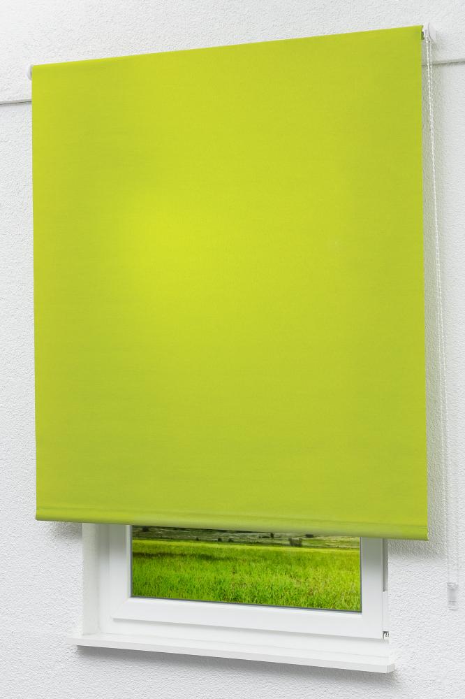 Lysel Outlet - Basisrollo Tageslicht Gelbgrün, (B x H) 122.50cm x 175cm in grün/gelbgrün Bild 1