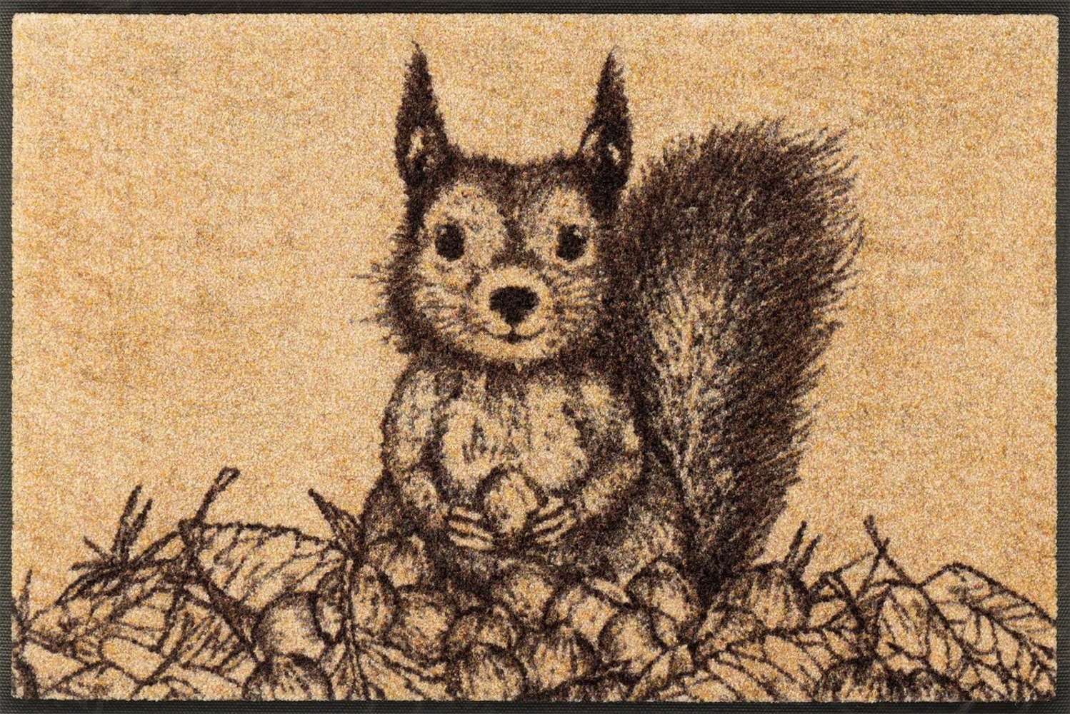 Squirry Bild 1