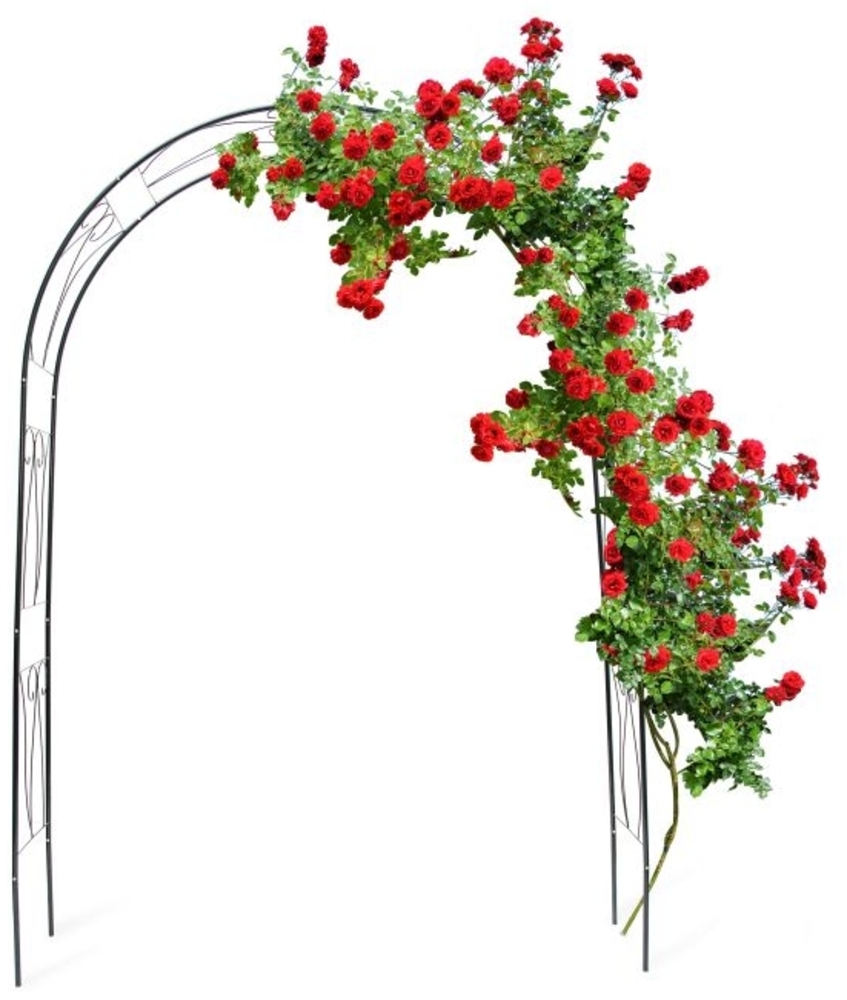 Rankbogen für Rosen mit Verzierung Bild 1