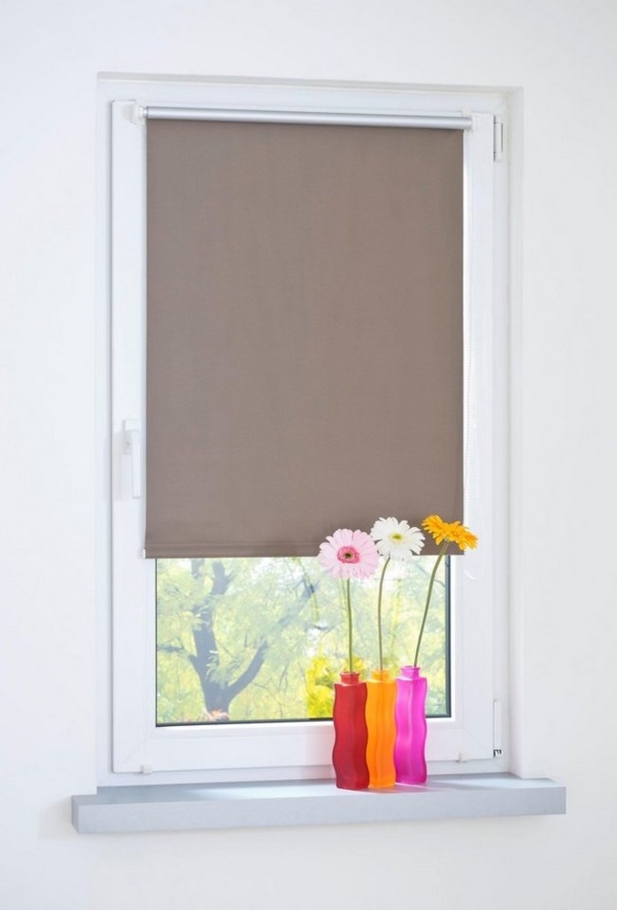 Seitenzugrollo, Liedeco, blickdicht, ohne Bohren, Klemmfix Bild 1