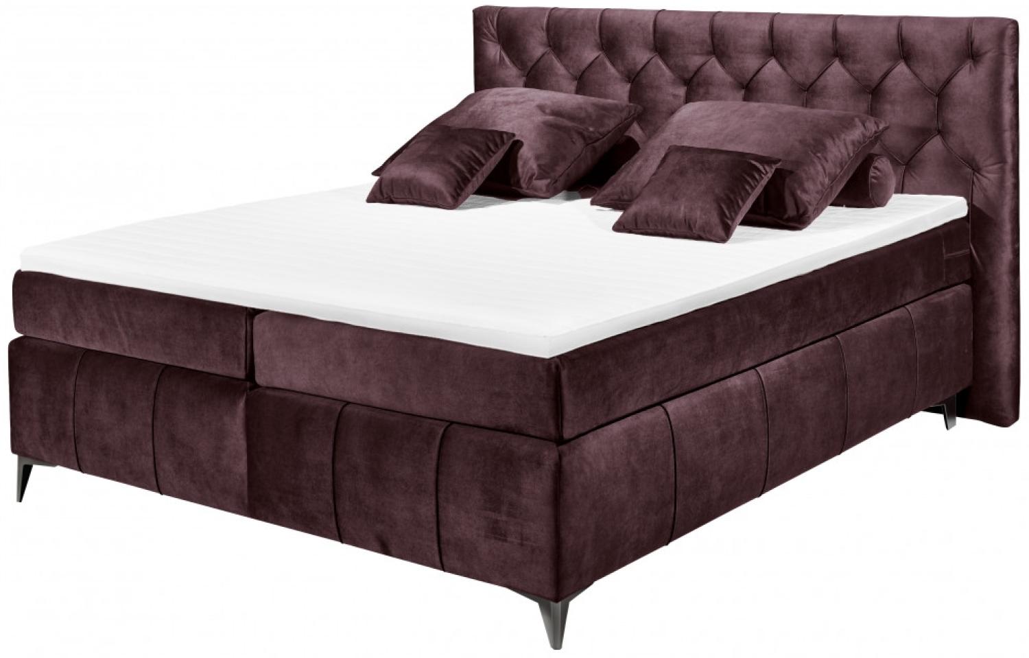 Boxspringbett Pembroke von Black Red White 180x200 cm Salvador 05 Aubergine Luxus-Mikrofaseer Samtoptik H2 Bild 1