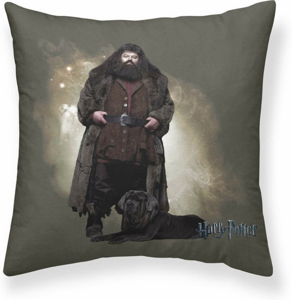 Harry Potter Kissenbezüge, Kissenbezug Harry Potter Hagrid Bunt 50x50 cm Bild 1