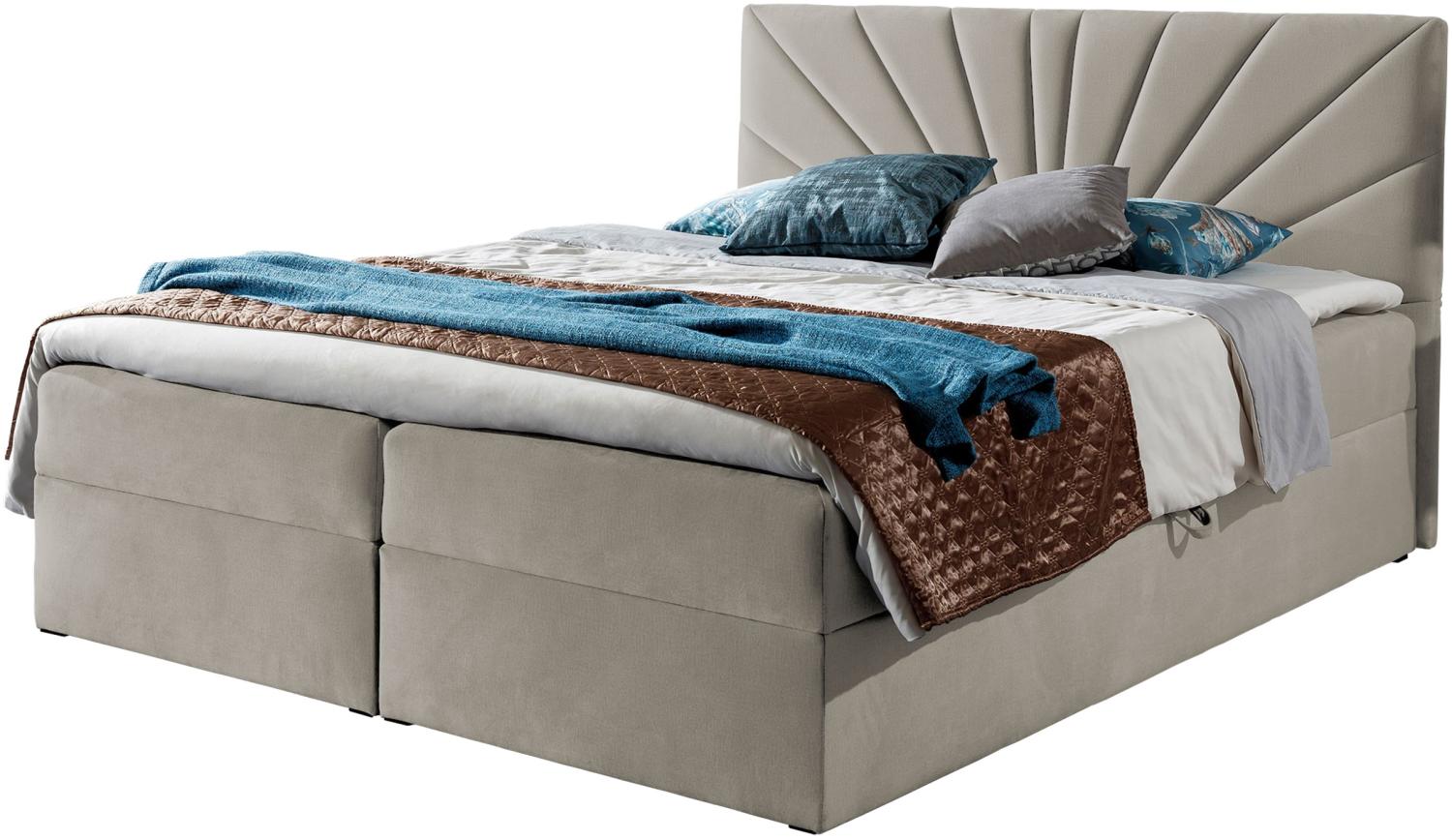 Boxspringbett Trifoli IV, Rot, 180 x 200 cm Bild 1