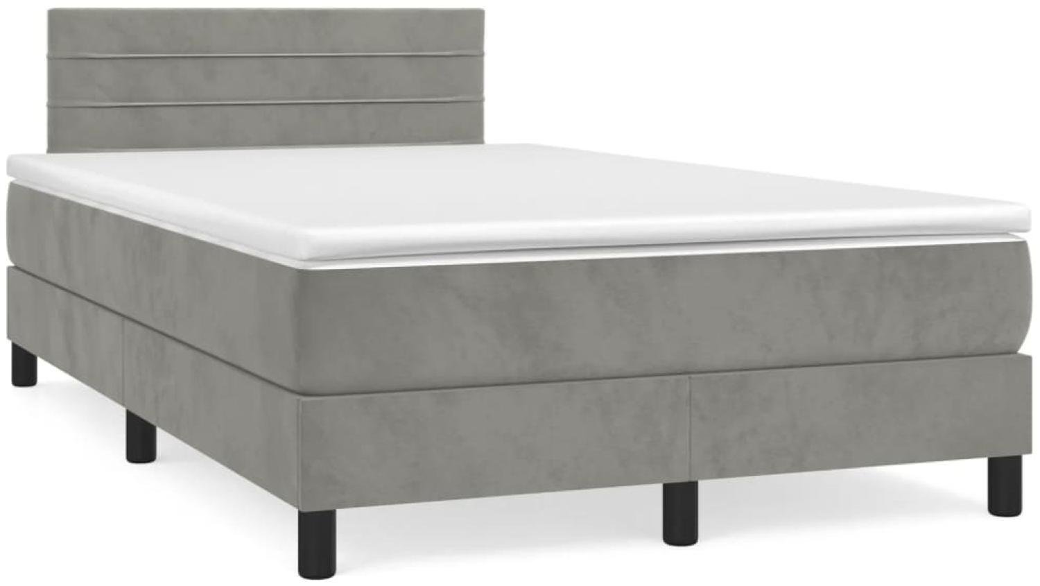 vidaXL Boxspringbett mit Matratze Hellgrau 120x190 cm Samt 3269843 Bild 1