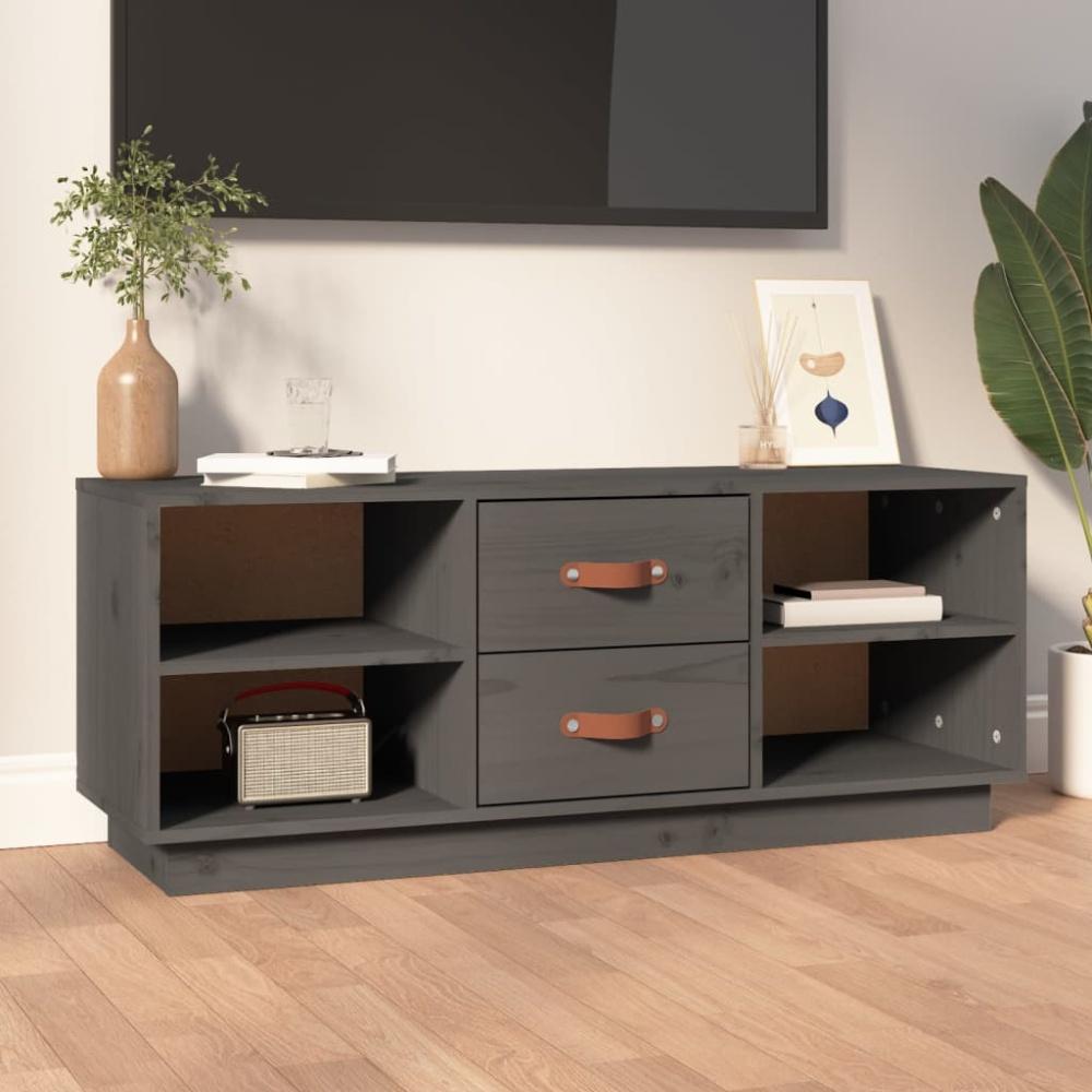 vidaXL TV-Schrank Grau 100x34x40 cm Massivholz Kiefer 818227 Bild 1