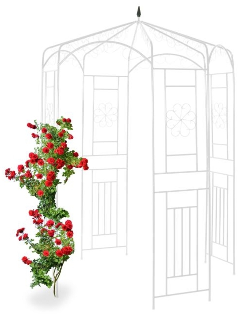 Rosenpavillon Metall 10026257_49 Bild 1