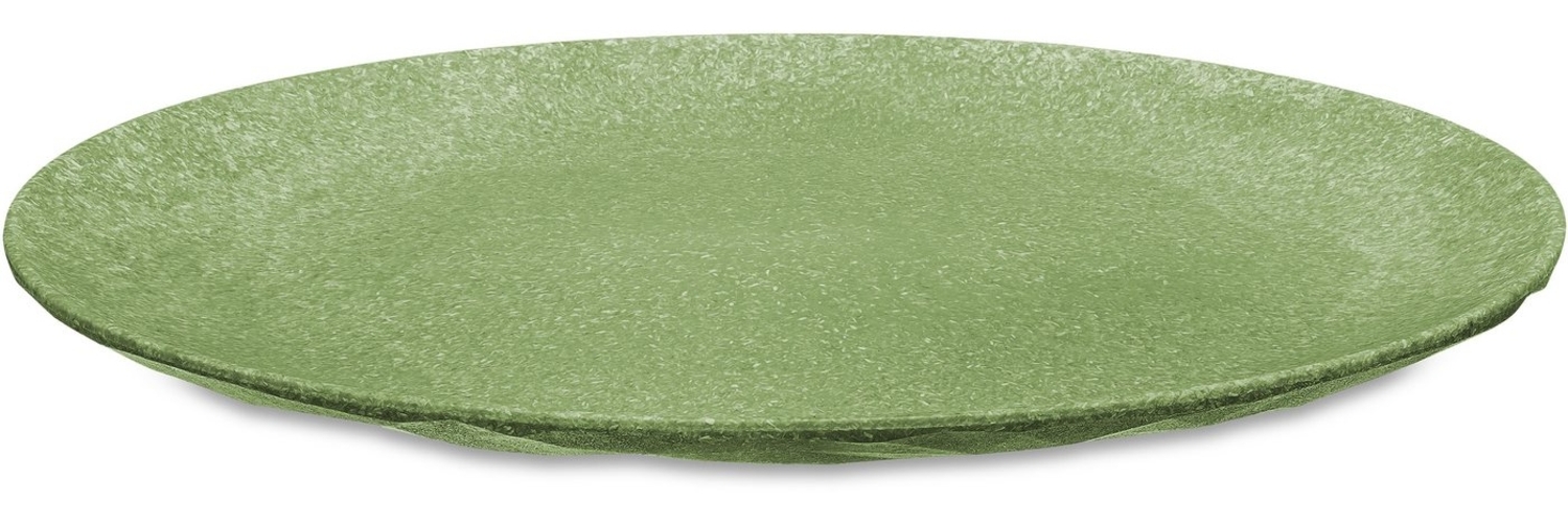 Koziol Flacher Teller 4er-Set Club Plate, Speiseteller, Kunststoff-Holz-Mix, Nature Leaf Green, 26 cm, 5005703 Bild 1