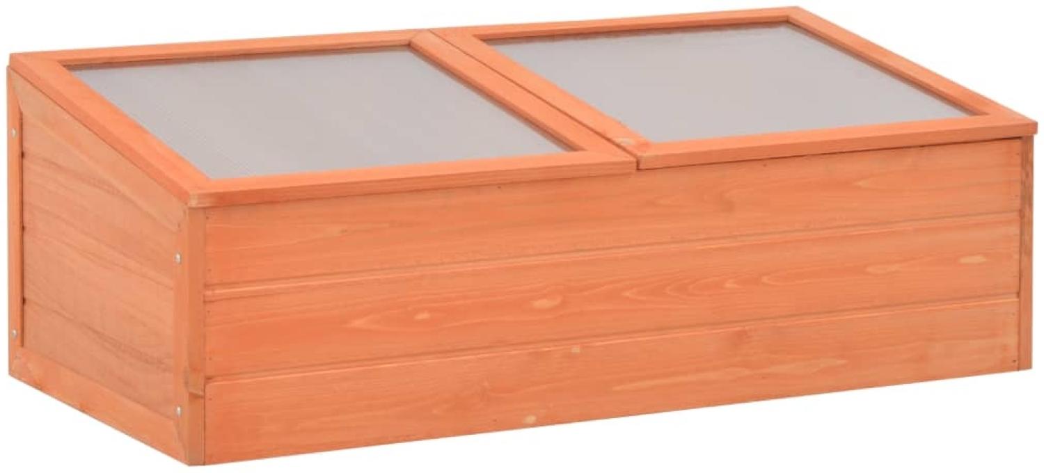 vidaXL Frühbeet Holz 100x50x34 cm 170647 Bild 1