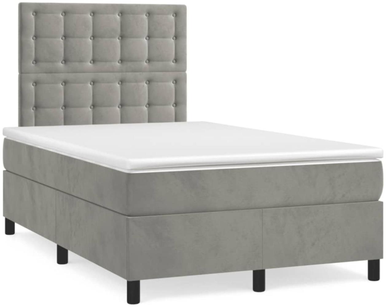 vidaXL Boxspringbett mit Matratze Hellgrau 120x190 cm Samt 3270019 Bild 1