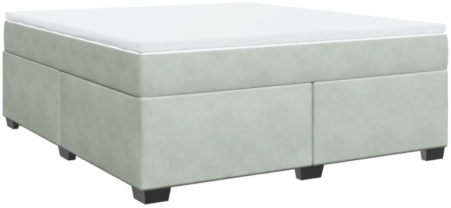 vidaXL Boxspringbett mit Matratze Hellgrau 180x200 cm Samt 3285299 Bild 1