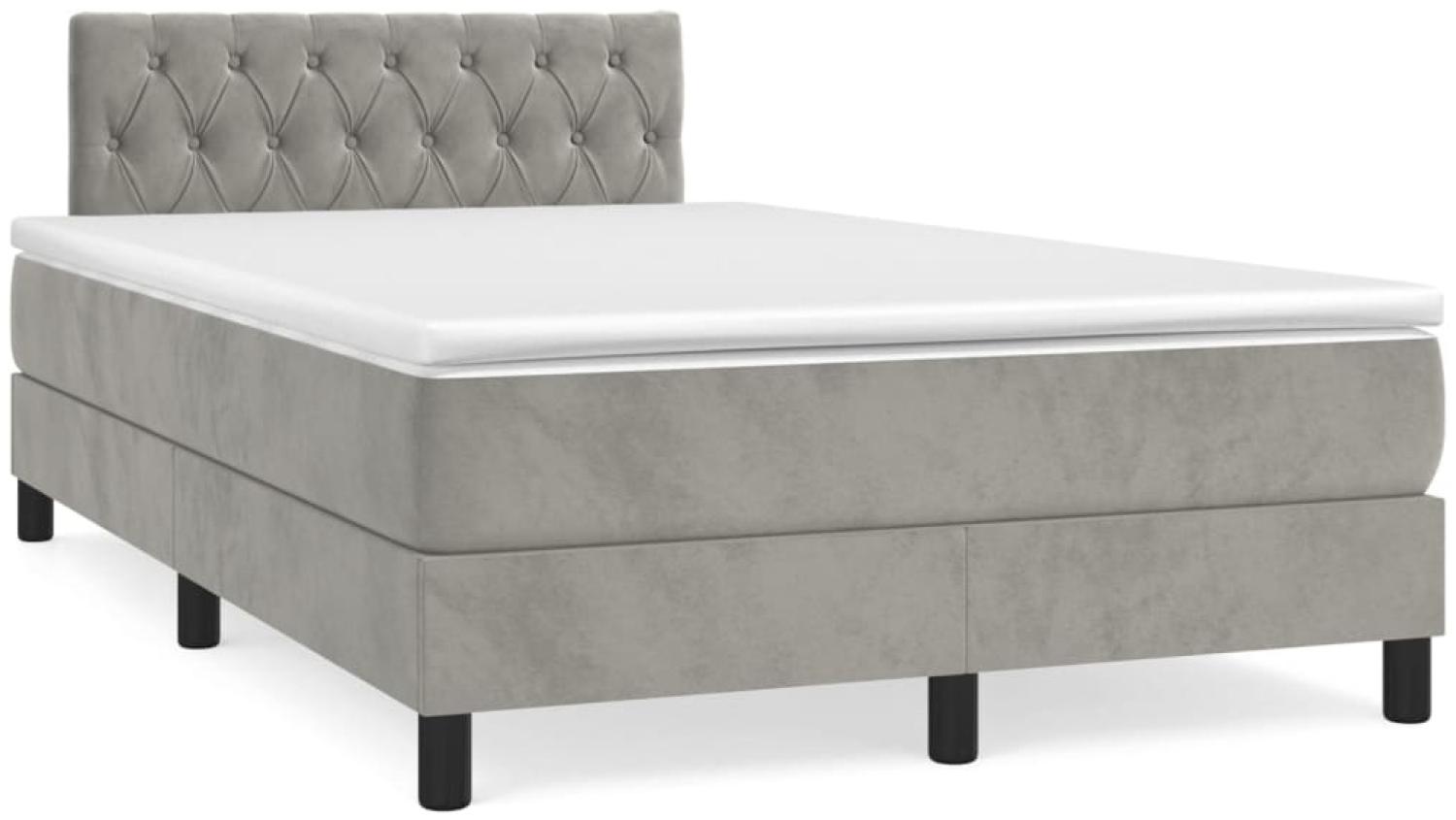 vidaXL Boxspringbett mit Matratze Hellgrau 120x190 cm Samt 3269855 Bild 1